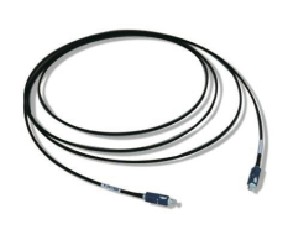 Ԥ�Ƴɶ˵����������